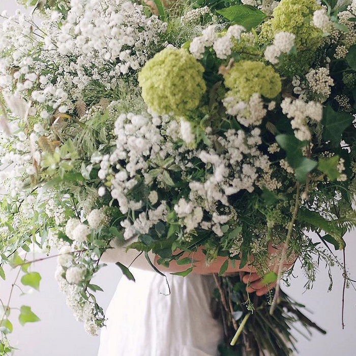 Queen Anne’s Lace!